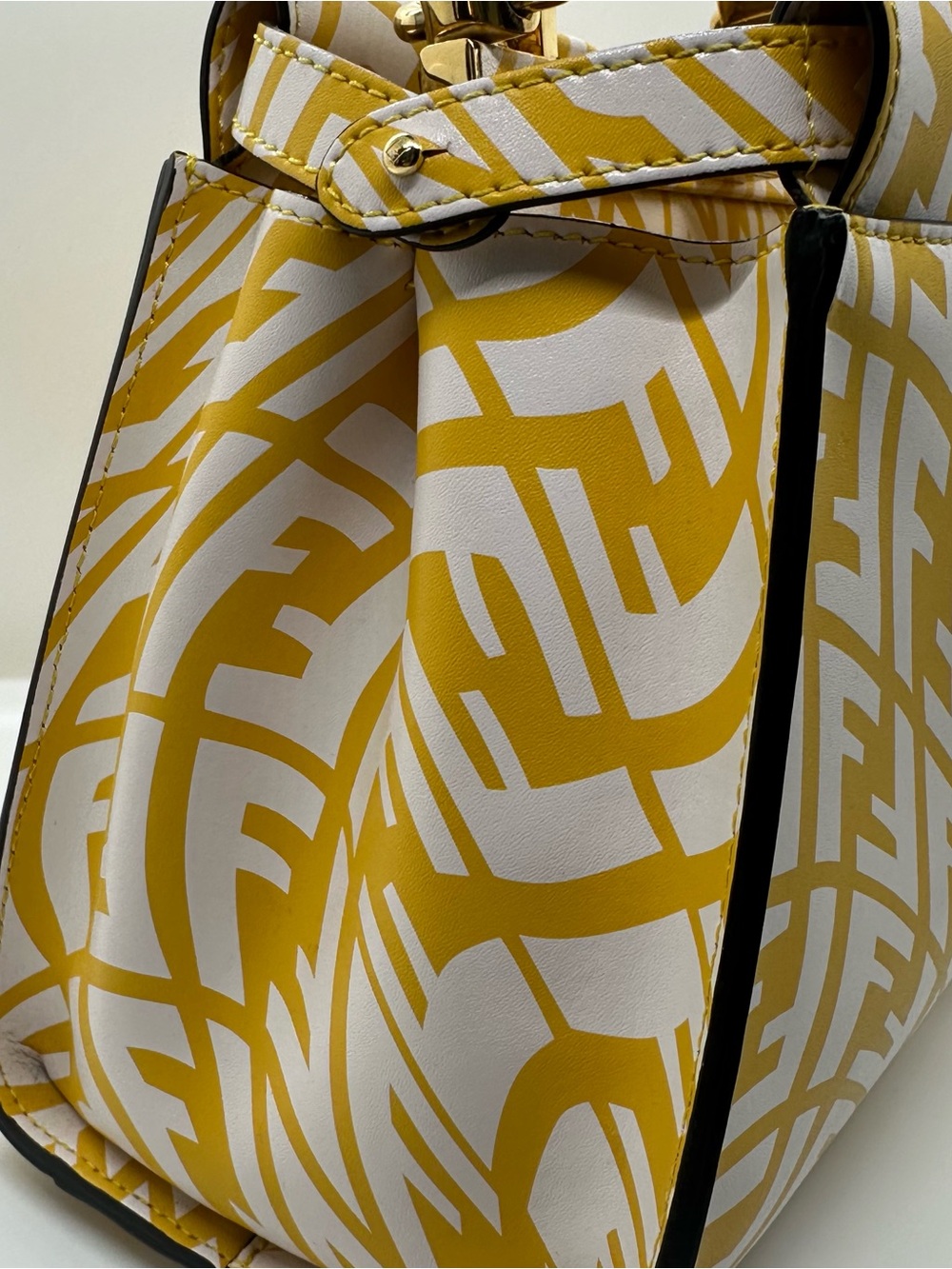 FENDI X SARAH COLEMAN Vertigo Peekaboo With Strap and Rain Cover - Picture 9 of 16